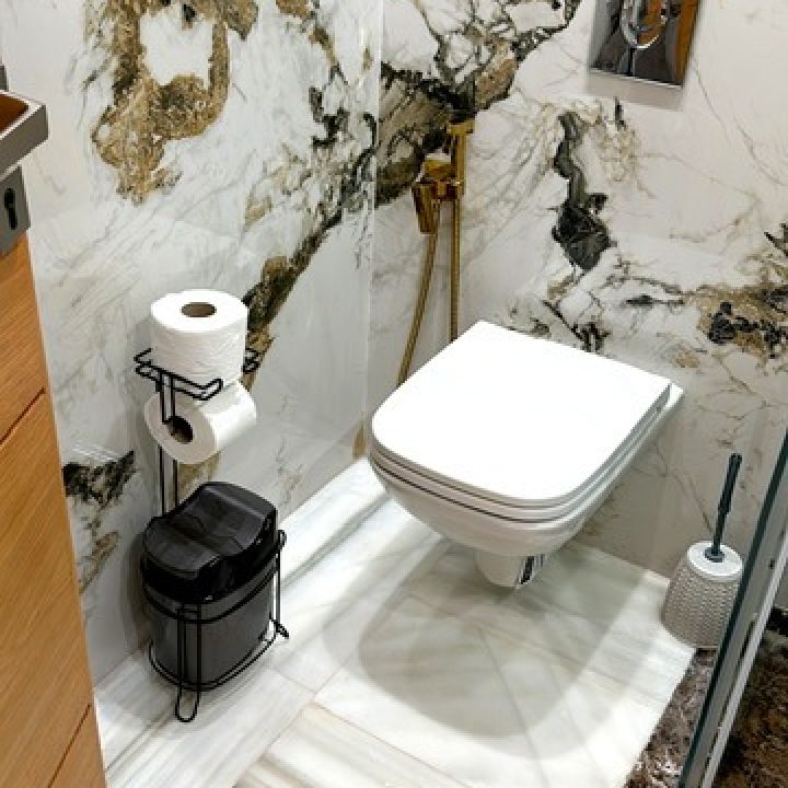 salle de bain salon